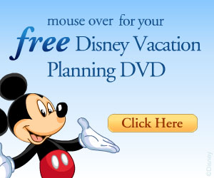 Disney Vacation DVD