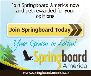 springboard america