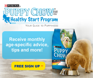 puppy chow coupons