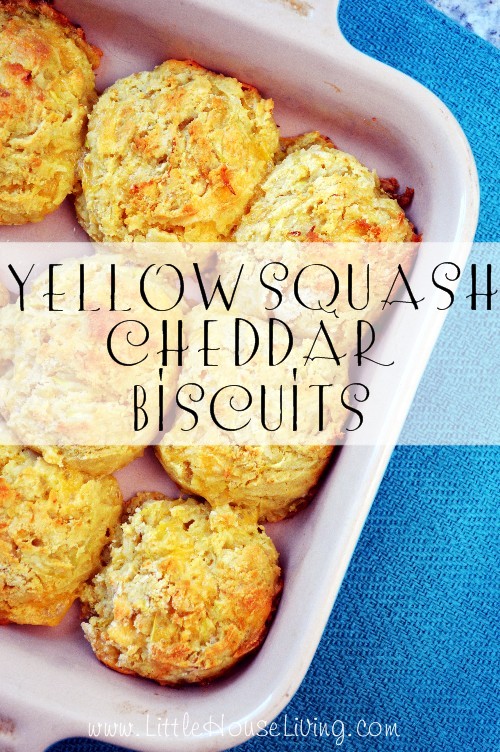 Yellow Squash Cheddar Biscuit Recipe