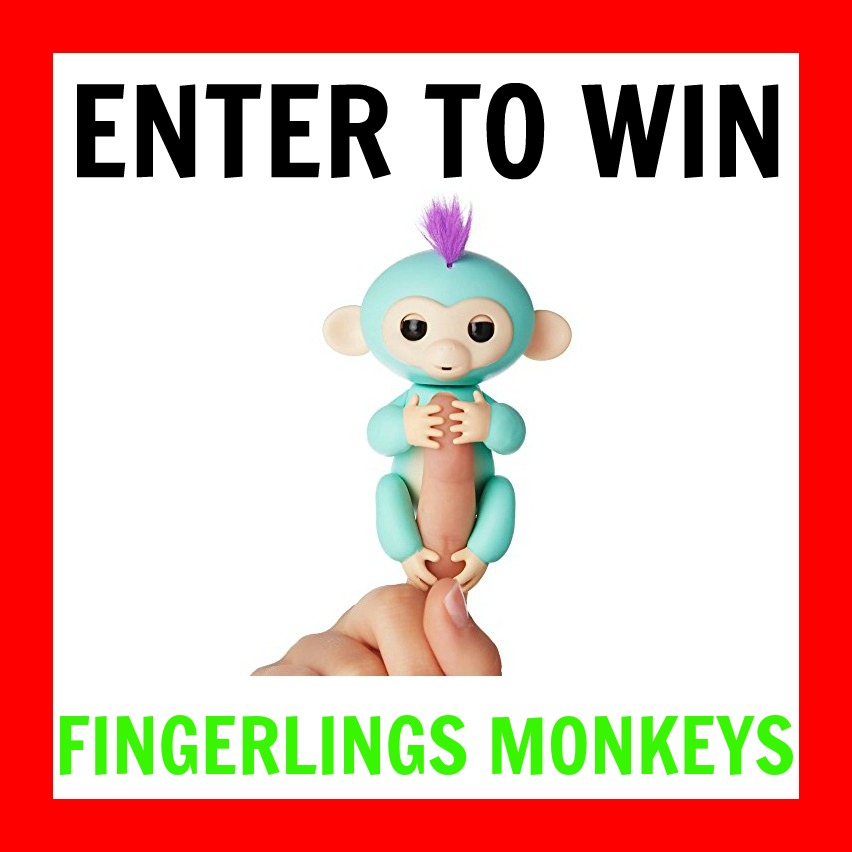 Enter to win Fingerlings giveaway